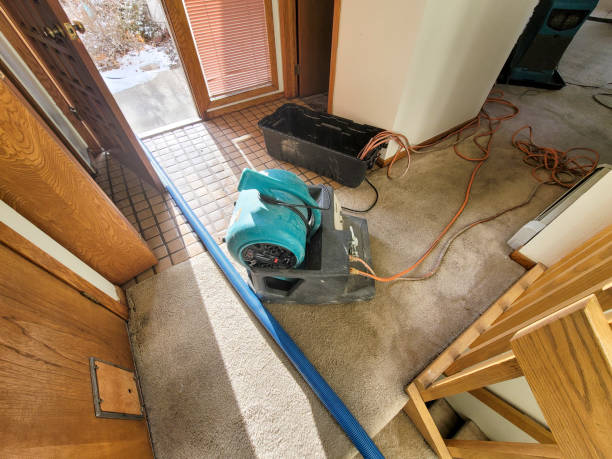 Best Commercial water damage restoration  in New Carlisle, IN