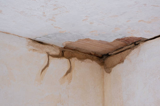 Best Local water damage restoration  in New Carlisle, IN