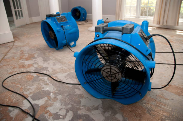 Best Sewage cleanup and water damage restoration  in New Carlisle, IN