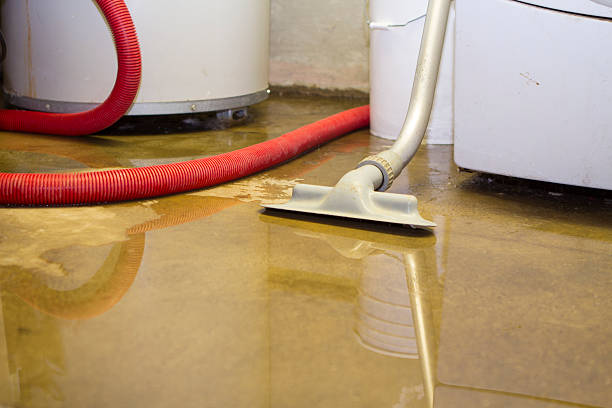 Water damage restoration process in New Carlisle, IN