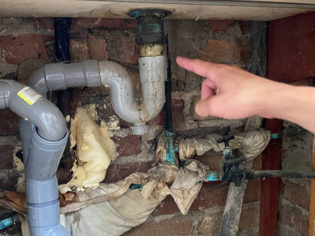  New Carlisle, IN Water damage restoration Pros